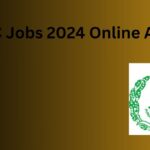 PPSC Jobs